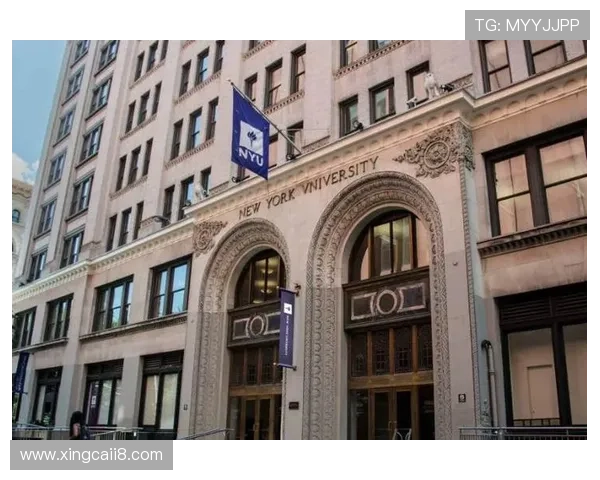 探索钻石赌城官网：尽享奢华游戏体验与精彩活动